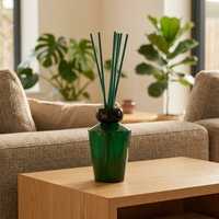 Bouteille en verre de luxe avec bouchon, vente en gros d'usine, 150 ml, diffuseur avec bâtonnets en rotin pour la décoration intérieure