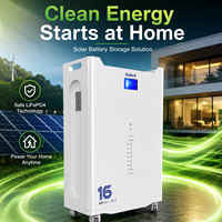 Batería de Almacenamiento Inteligente LiFePO4 para Exteriores, Sin Conexión a la Red, 16KWh 51.2V 314Ah, 8000 Ciclos, Libre de Mantenimiento