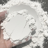 Poudre d'oxyde de calcium de haute finesse supérieure à 1200 mesh, prix de l'oxyde de calcium, chaux vive industrielle
