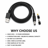 Câble d'alimentation USB-A vers DC 1m, prise jack DC interchangeable, cordon en PVC pour routeur, caméra CCTV, bande LED