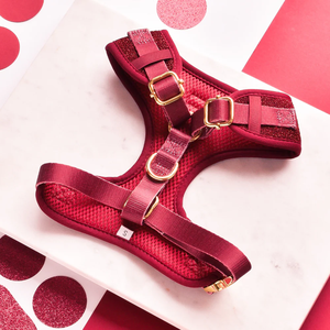 Set kerah anjing dan tali anjing desain khusus dengan kain mengkilap poliester lembut merah Harness anjing Set - Product Image 4