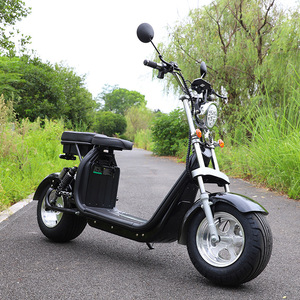 EEC-Monopatín eléctrico para adultos, patinete eléctrico de 60V 2000W, neumático ancho, batería de litio, impermeable, IP65, motor sin escobillas, máx. 200Kg para Harley - Product Image 4