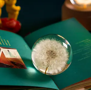 定制3D 7厘米8厘米9厘米树脂球自然花卉植物真正的蒲公英纸重圣诞礼物水晶玻璃家居装饰
