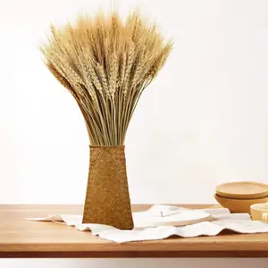 Fabrika fiyat 50 kaynaklanıyor 100% doğal buğday dekor ev mutfak noel düğün için kurutulmuş buğday sapları