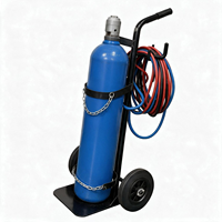 Chariot robuste pour une seule bouteille de gaz, chariot pour bouteille d'oxygène de 250 mm, chariot pour bouteille de soudeur, roues en caoutchouc massif, équipement d'atelier