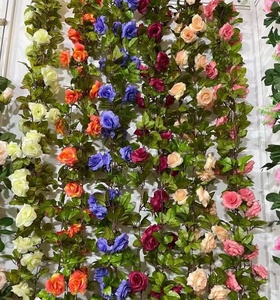 Pergolas grimpantes, fleurs noires, vigne bleue, rose campagne, rouge, Rosa Schizophragma, ombrage, glycine Jeanne et roses - Product Image 3