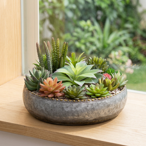 Plantador de metal galvanizado de metal decorativo de latón AK con suculentas para jardinería al aire libre - Product Image 3