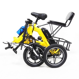 2025 personas con discapacidad movilidad usada mini <span class=keywords><strong>triciclo</strong></span> motorizado eléctrico <span class=keywords><strong>de</strong></span> tres ruedas con batería para pasajeros y <span class=keywords><strong>carga</strong></span> - Product Image 2