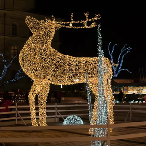 Décoration commerciale extérieure personnalisée Lumière de Noël à motifs 3D Lumière de décoration de centre commercial de rue - Product Image 3