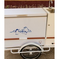 Camión de Comida Gourmet Personalizado con Empuje Manual, Carrito de Helados, Sombrilla, Fábrica de Snacks, Planta Procesadora de Vegetales, Bodega, Comercio Minorista, Carbono