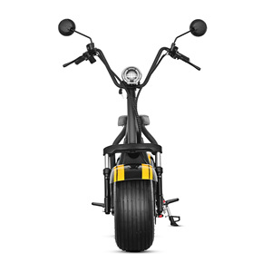 Vélo de ville Mini-X1 Lexus avec moteur central - 1500W, batterie lithium 60Wh, cadre en acier, freins à disque hydrauliques - Product Image 3