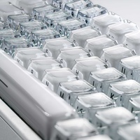 Keycaps transparents ABS+PC Lake Water profil MDA compatibles avec les interrupteurs MX Wooting 60HE V2/80HE/claviers mécaniques