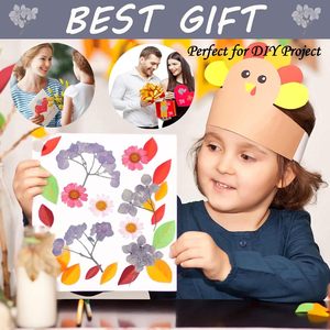 Lot de 100 <span class=keywords><strong>fleurs</strong></span> d'hortensia pressées dans la nature avec tige pour embellissements en résine pour bijoux, bricolage, coque de téléphone - Product Image 2