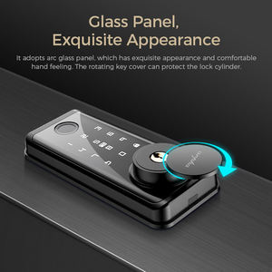 Arpha D601 BT подключение пароля ключ отпечаток пальца один щелчок разблокировать умный дверной замок с ручкой Google Alexa помощник - Product Image 3