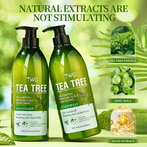 TWG OEM Custom 800ml Champú y acondicionador de árbol de té Acondicionador refrescante y esponjoso Control de aceite Champú anticaspa de árbol de té - Product Image 3
