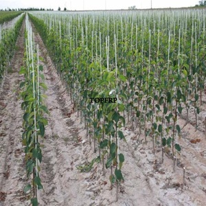 Durable Solid FRP Rod Glass Fiber <b>Garden</b> <b>Poles</b> - Product Image 6