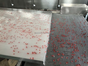 Tam Otomatik Masaüstü Mango Aromalı Bubble Tea Makinesi - Product Image 2