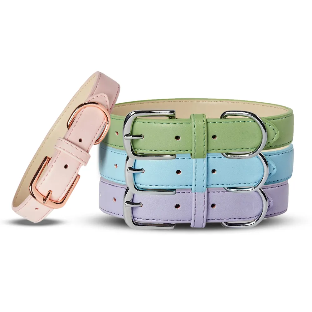 Unique dog collars and leashes