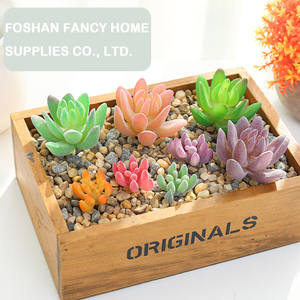 <span class=keywords><strong>Planta</strong></span> Artificial <span class=keywords><strong>de</strong></span> Espinas Mini-<span class=keywords><strong>Cristo</strong></span>, Accesorios para Bonsái, Flores <span class=keywords><strong>de</strong></span> Plástico, Suministros para Manualidades, Accesorios para Fotografía <span class=keywords><strong>de</strong></span> Bodas, Decoración del Hogar - Product Image 6