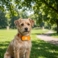 Collier de suivi GPS intelligent pour animaux de compagnie, triple mode, WiFi, LBS, dispositif anti-perte, chiens, chats, suivi en temps réel, étanche IP66, 15 heures d'autonomie