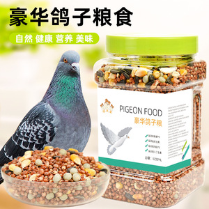 Alimento Especial para Palomas, Granos Nutritivos, 1200ml, para Palomas de Competición, Cría y Viaje, Suministros Ecológicos para Aves - Product Image 1