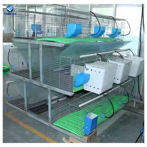 Cage à lapin de style européen automatique de vente chaude avec des plateaux en plastique tous les accessoires - Product Image 3