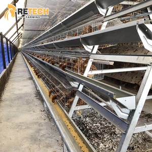 Bán Lồng Nuôi Gà Đẻ Trứng Tự Động Hai Lớp Cho Trang Trại Gia Cầm - Product Image 1