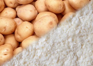 中国制造商批发有机食品原料 ISO/清真认证 低水分 (6-8%) 25公斤包装 18个月保质期 - Product Image 6