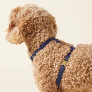 Arnés de neopreno transpirable ligero para perros, correas ajustables, arnés de lona para mascotas para paseos sin estrés, cómodo y elegante - Product Image 4