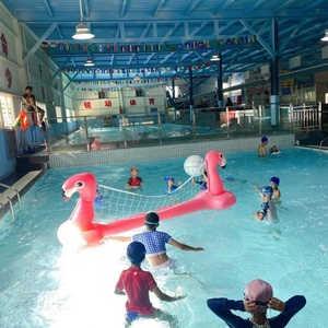 Flotteur gonflable flamant rose pour piscine, ensemble de volley-ball gonflable, jeu de sports aquatiques d'été avec structure de volley-ball - Product Image 5