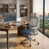 Chaise de bureau ergonomique à dossier haut en maille, chaise de direction avec support lombaire et repose-pieds rétractable, idéale pour le télétravail