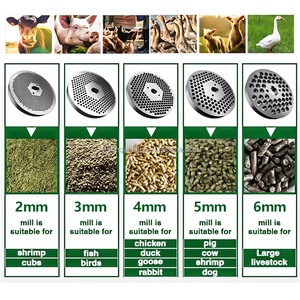 Sıcak Satış 50-120KG/Saat Hayvan Granülatör Makinesi Çiftlik Hayvanları Kümes Hayvanları Pelet Makinesi Kuşlar Tavşanlar Sığır İnek Koyun Yemi Peleti - Product Image 4