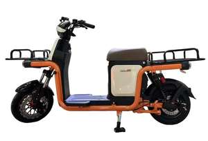 Bicicleta Eléctrica de Larga Distancia para Adultos con Motor Personalizado de 500W/800W y Batería de Plomo-Ácido de 60V - Product Image 5