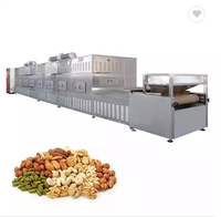 Industriële Grote Productiecapaciteit Tunnel Magnetron Dehydrator Machine Voor Graan Insect Of Fruit