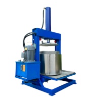 Elektrische hydraulische automatische koudpers sapcentrifuge, nieuwstaat - voor het verwerken van groenten, citroenen, fruit, wijn, kersen