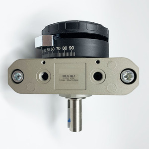 Cilindro DSR-32-180-P a forma di banderuola con struttura pneumatica a pistone, - Product Image 4