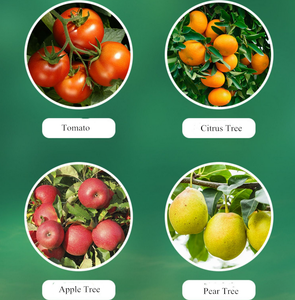 Spirotetramat 22.4% SC, Insecticida para Árboles Frutales Contra Ácaros Rojos, Precio de Fábrica, Acaricida Agrícola, Pesticida - Product Image 3