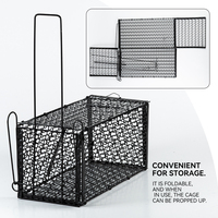 Pièges à souris et à rats de haute qualité, cages à rats, pièges à souris, vente directe d'usine à bas prix