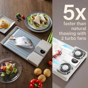 New Design Kitchen Smart Quick Fast Frozen Fish Steak Chicken Meat Defrosting Board Food Fast Thawing Tray