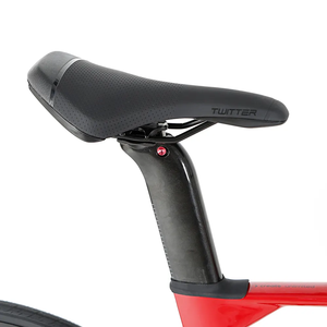 Vente chaude R10 700C Vélo Carbone Cadre Lumière Vélo De Route Frein À Disque Vélo De Course pour Adultes <span class=keywords><strong>TWITTER</strong></span> - Product Image 4