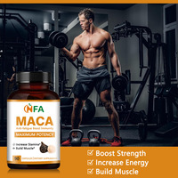 Capsules de Maca de haute qualité anti-fatigue, idéales pour stimuler l'énergie quotidienne et le système immunitaire des hommes, complément alimentaire à base de plantes.