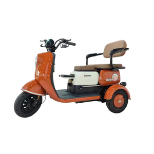 Triciclo eléctrico cerrado de 800/1000W Vehículo de pasajeros cerrado de tres ruedas con kilometraje de conducción de 30km Certificado EEC/DOT/GCC - Product Image 4
