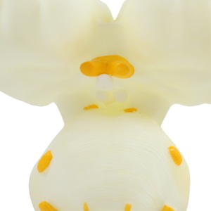 Herramienta médica <span class=keywords><strong>de</strong></span> enseñanza del modelo anatómico del tronco encefálico para la <span class=keywords><strong>clase</strong></span> <span class=keywords><strong>de</strong></span> biología y demostración <span class=keywords><strong>de</strong></span> anatomía - Product Image 4