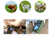 Prix de gros Instrument de scanner à ultrasons vétérinaire numérique portable Équipement pour animaux médicaux Appareils de surveillance vétérinaires