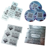 Etiquetas de Identificación de Equipos con Número de Serie Metálico, Código QR Marcado con Láser, Etiquetas de Seguimiento con Código de Barras Secuencial, Etiquetas de Inventario de Aluminio para Activos
