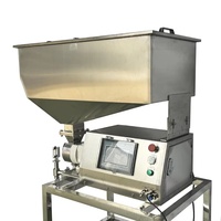 Machine de remplissage à trémie 150L à pompe rotative à tête unique pour liquides à haute viscosité (boissons, sauce tomate, confiture, crème, miel)