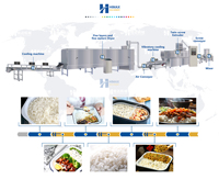 Riz enrichi entièrement d'automation faisant le riz instantané nutritionnel de Frk de machine traitant des machines