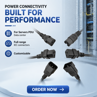 Câble d'extension d'alimentation pour PDU, connecteur IEC haute intensité C13 C14 C19 C20 C21, longueur et couleur personnalisées, pour rack de serveur GPU