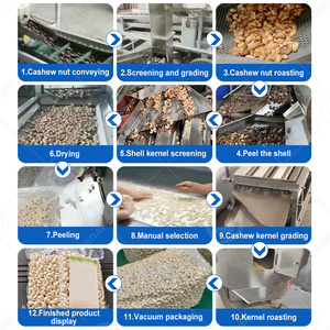 Planta de Procesamiento de Anacardos Crudos Totalmente Automática OCEAN, Línea Completa de Producción de Nueces de Anacardo - Product Image 2