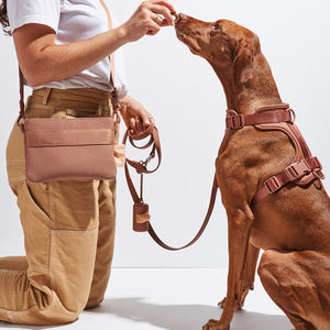 <span class=keywords><strong>BOBO</strong></span>&YOYO Prix fabricant Harnais et laisse pour animaux de compagnie en néoprène PVC imperméable léger de luxe Nouvelle arrivée personnalisée - Product Image 4